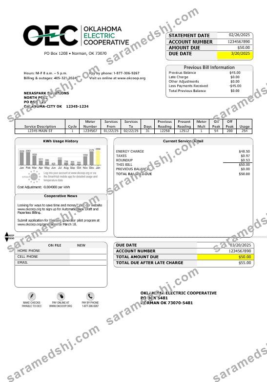 USA OEC electricity business utility bill template in Word and PDF formats